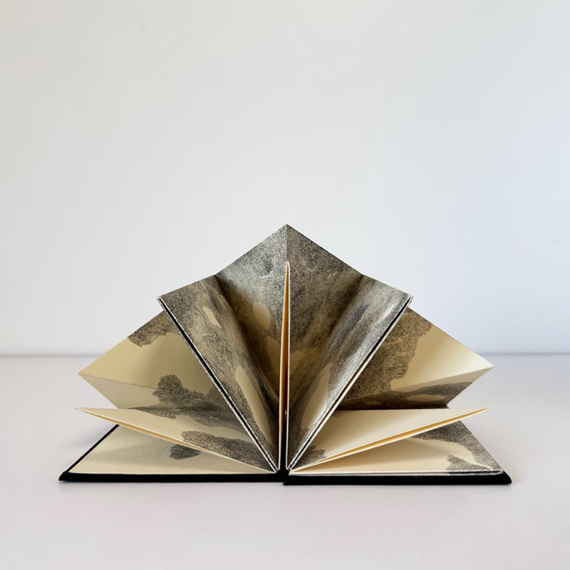 Fernando Ivorra © - Proyecto Libro como dispositivo